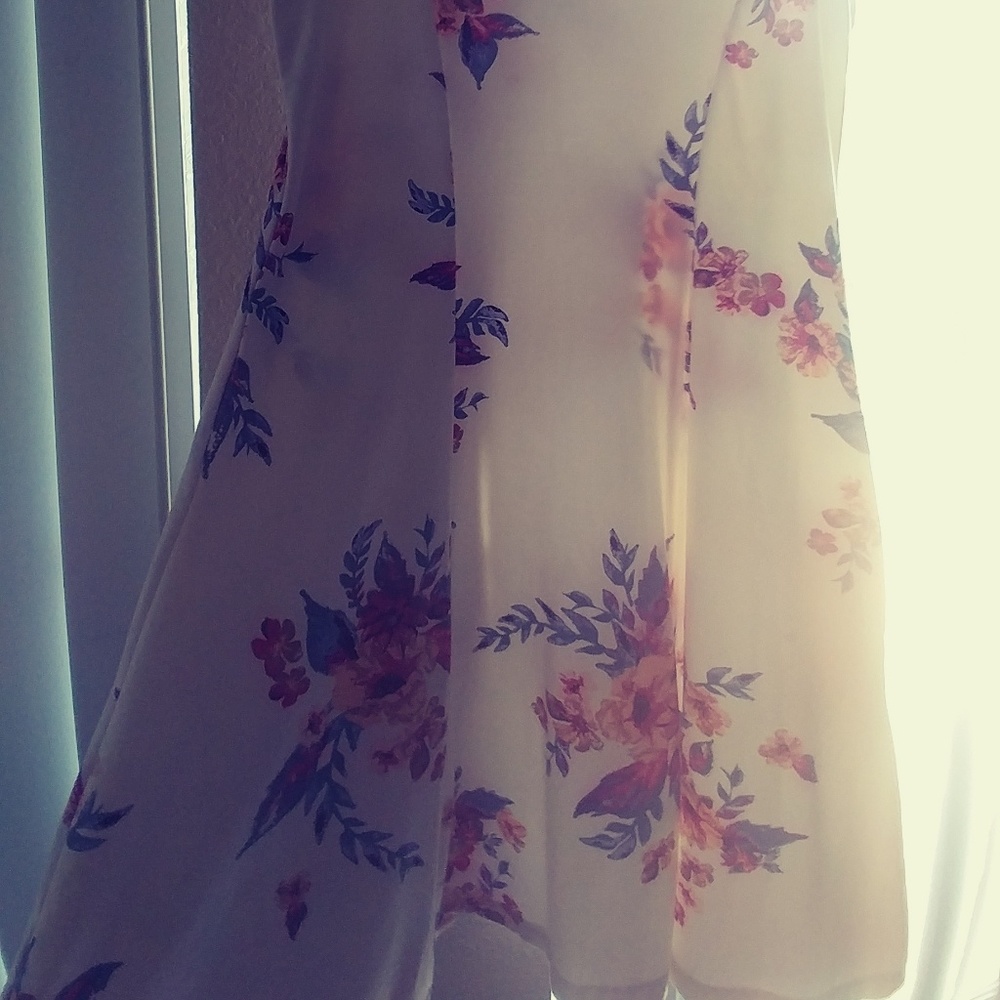 (L) Sleeveless Skater Spring Dress - Picture 2 of 3
